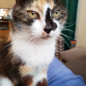 Meet your Posher, Amy